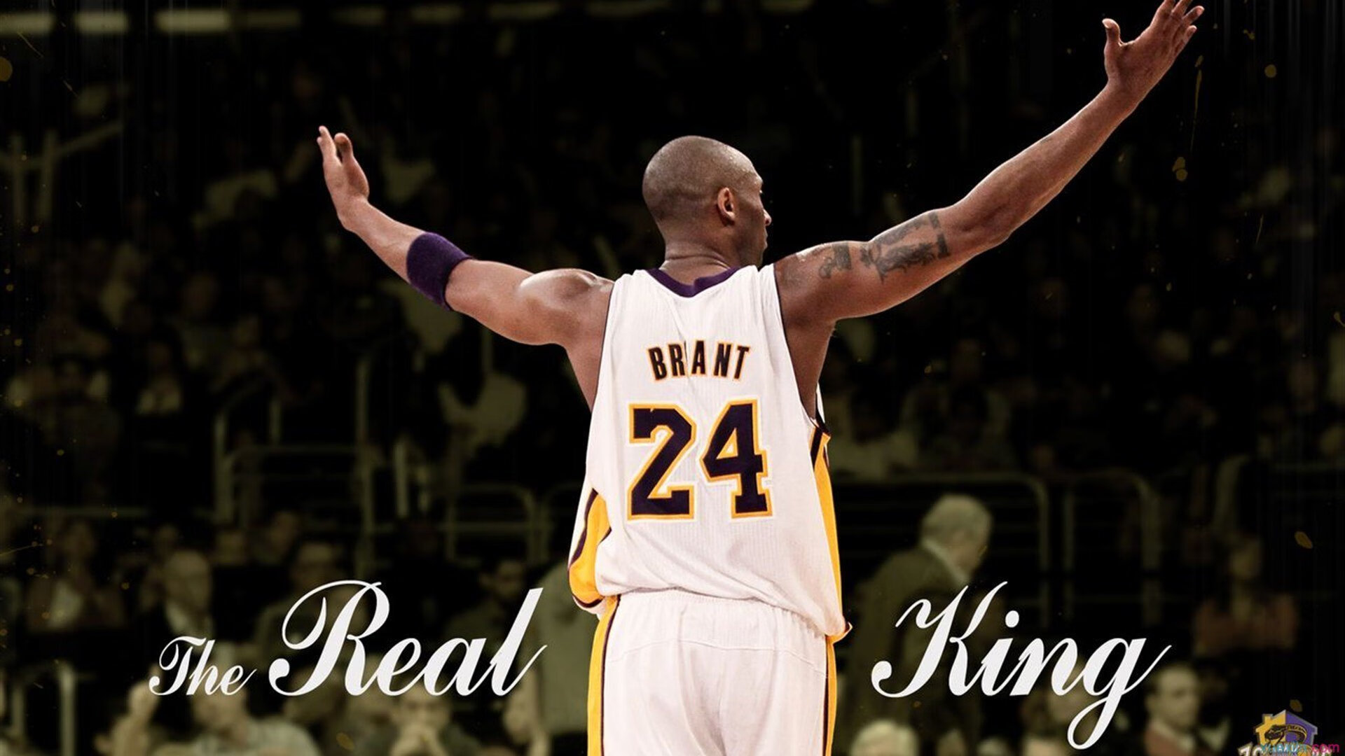 多名选手具备进入决赛实力,决赛名额